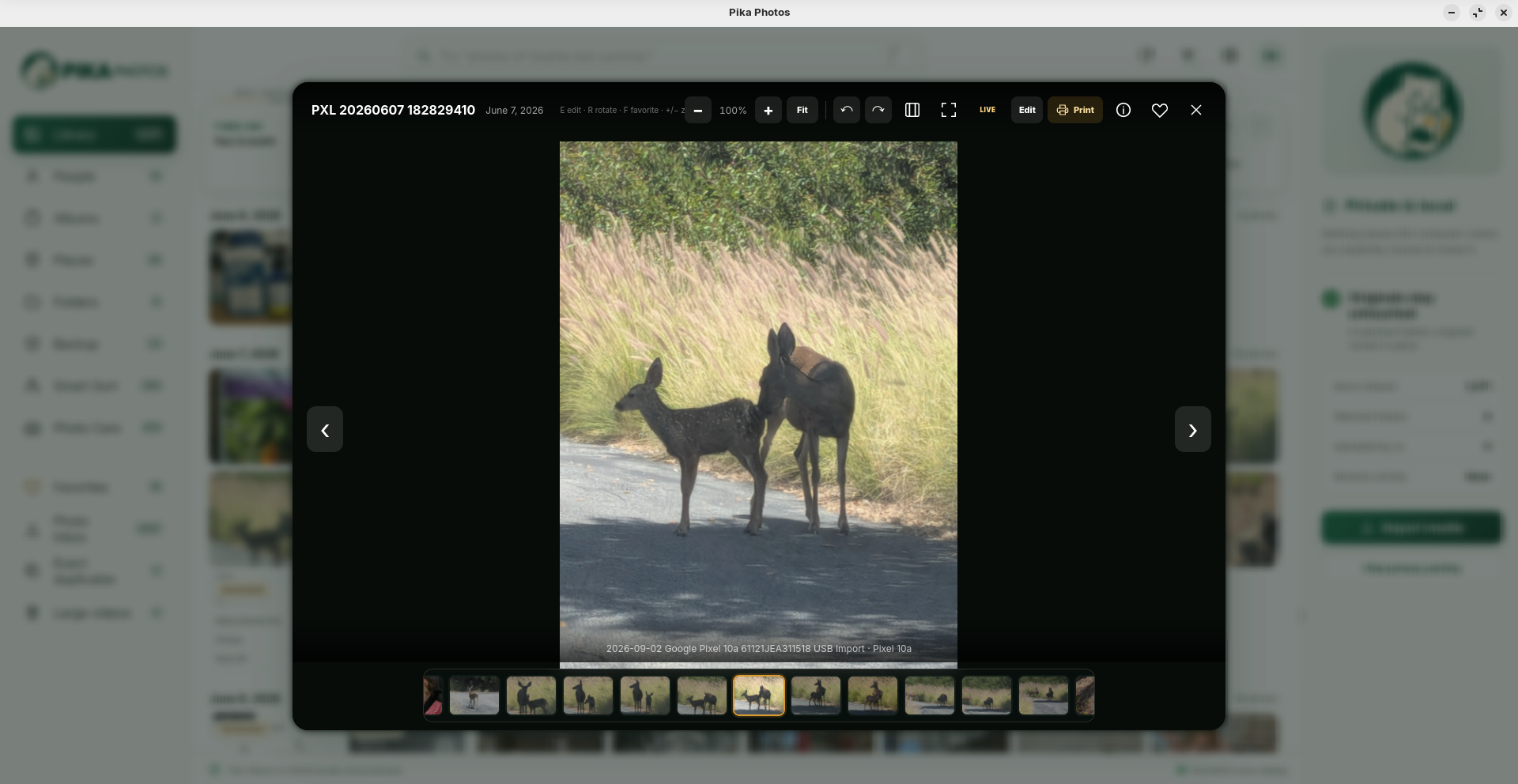 Pika Photos dark full-screen viewer with filmstrip